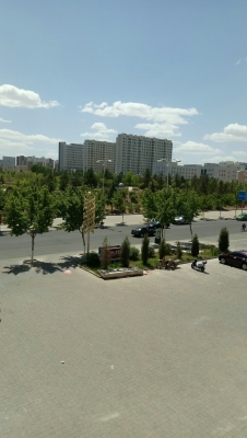 赤峰糧食補(bǔ)貼電話號(hào)碼查詢-第1張圖片