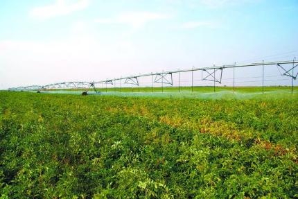 赤峰曲家溝酒-第1張圖片