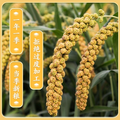 赤峰冰鑫糧行電話號碼查詢-第1張圖片