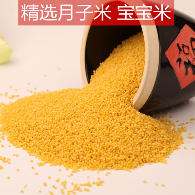 赤峰張小驢流油店電話號(hào)碼-第1張圖片