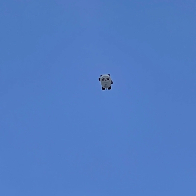 赤峰小灶砂鍋店電話多少號-第1張圖片