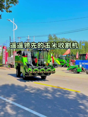 赤峰烘干玉米供應(yīng)商電話號(hào)碼-第1張圖片