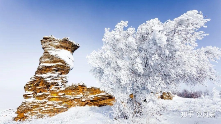 赤峰洪風(fēng)馬術(shù)館電話地址查詢-第1張圖片