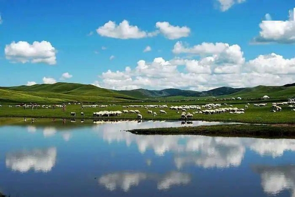 赤峰林西莜面飯店電話號碼-第1張圖片