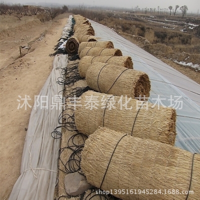 赤峰裝飾草簾子批發(fā)電話地址-第1張圖片