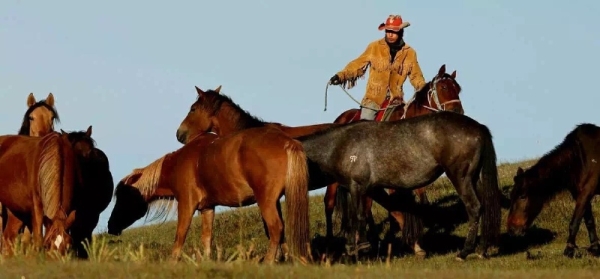 赤峰修馬蹄子電話是多少號-第1張圖片