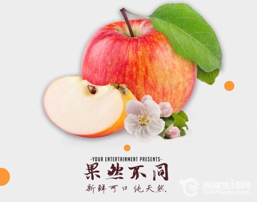 赤峰大阪采摘園電話號(hào)碼查詢-第1張圖片