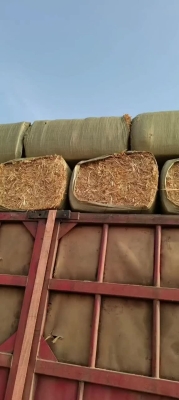 赤峰牧草批發(fā)電話號碼多少-第1張圖片