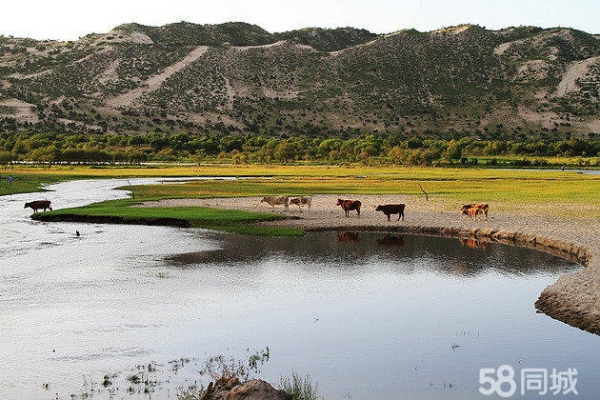 赤峰銷售滑沙板電話地址查詢-第1張圖片
