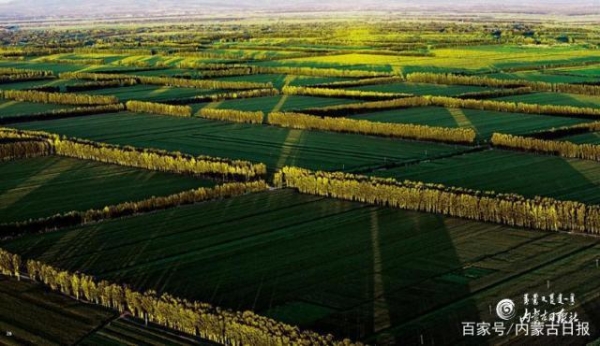 赤峰架空線批發(fā)電話號碼-第1張圖片