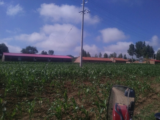 赤峰市敖漢旗長生鎮(zhèn)電話號碼-第1張圖片