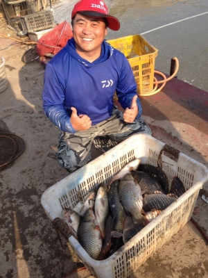 赤峰斗魚(yú)擺攤電話多少號(hào)碼-第1張圖片