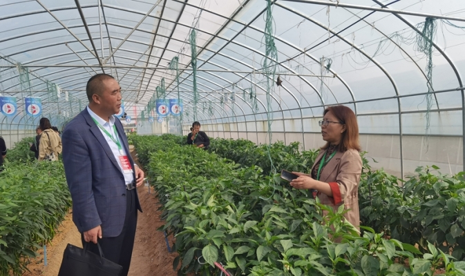 赤峰蔬菜代銷電話號碼查詢-第1張圖片