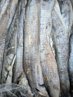 赤峰冷凍鲅魚帶魚批發(fā)電話號碼-第1張圖片