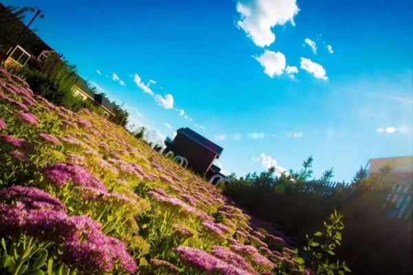 赤峰花香谷團購電話地址查詢-第1張圖片