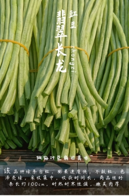 赤峰白條豆角種植基地電話號(hào)碼-第1張圖片