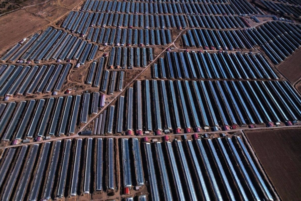 赤峰棚頂修復(fù)電話地址查詢-第1張圖片