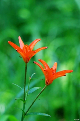 赤峰碧須香皂廠家電話號碼-第1張圖片