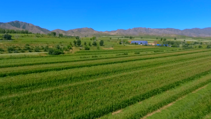 赤峰高明洋商貿(mào)公司電話號碼-第1張圖片