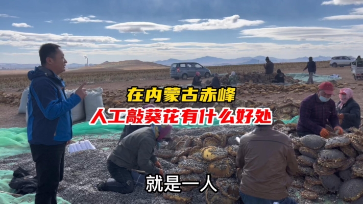 新疆到赤峰物流電話地址查詢(xún)-第1張圖片