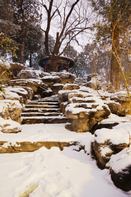 赤峰市惜雪畫室電話號碼-第1張圖片