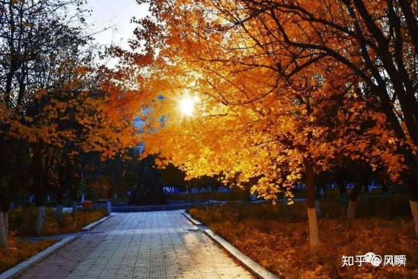 赤峰維多利圖書館電話號碼-第1張圖片