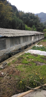 赤峰佳玉豬場(chǎng)-第1張圖片