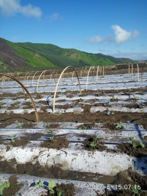 赤峰盤道溝螢石礦招聘電話號(hào)碼-第1張圖片