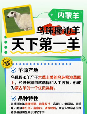 赤峰羊肉禮盒定制廠家電話號(hào)碼-第1張圖片