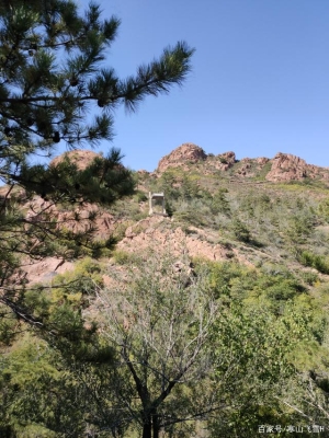 內(nèi)蒙古赤峰飛機(jī)打藥電話號(hào)碼-第1張圖片