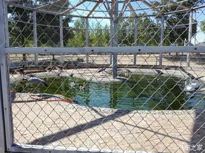 長青公園赤峰酒吧電話多少號-第1張圖片