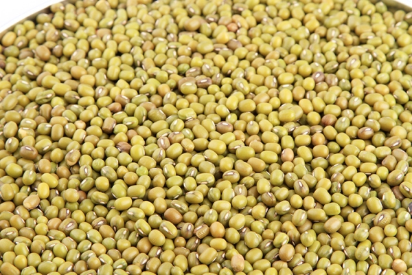 赤峰天賜糧油批發(fā)電話地址查詢-第1張圖片