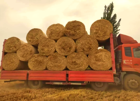 赤峰莜麥秸稈廠家電話號碼-第1張圖片