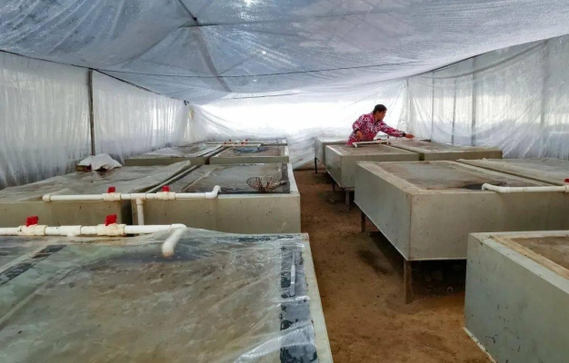 赤峰水蛭養(yǎng)殖基地電話號碼-第1張圖片