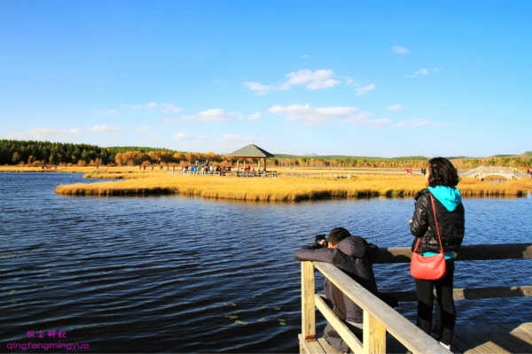 赤峰市壩上草原飯店電話號(hào)碼-第1張圖片