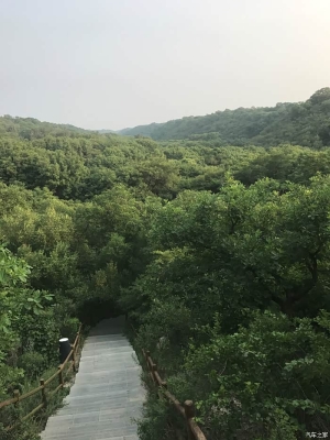 赤峰牛仔褲商家電話號碼-第1張圖片