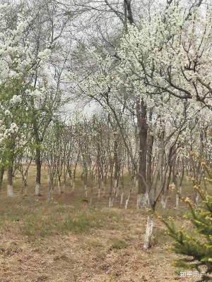 赤峰博達手機維修電話號碼查詢-第1張圖片