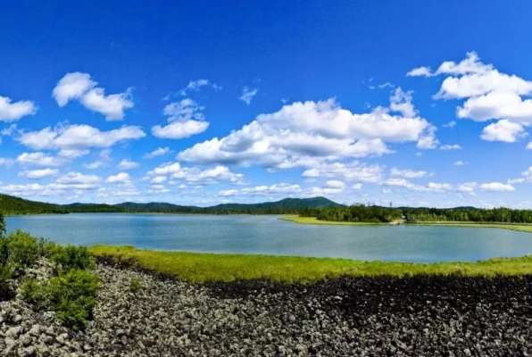 赤峰救助禿鷲的電話號碼是多少-第1張圖片