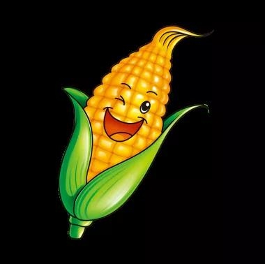 赤峰賣松子的電話地址在哪里-第1張圖片