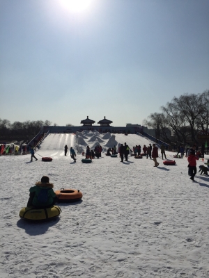 赤峰冰雪團(tuán)購網(wǎng)官網(wǎng)電話號碼-第1張圖片