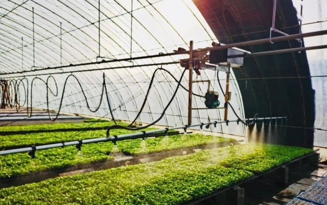 赤峰育苗基地電話號碼查詢-第1張圖片