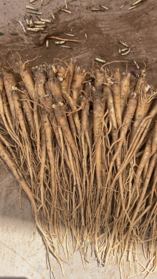 赤峰種植藥材合作社電話(huà)號(hào)碼-第1張圖片