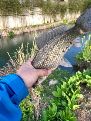 赤峰漁樂海洋公園電話號碼-第1張圖片