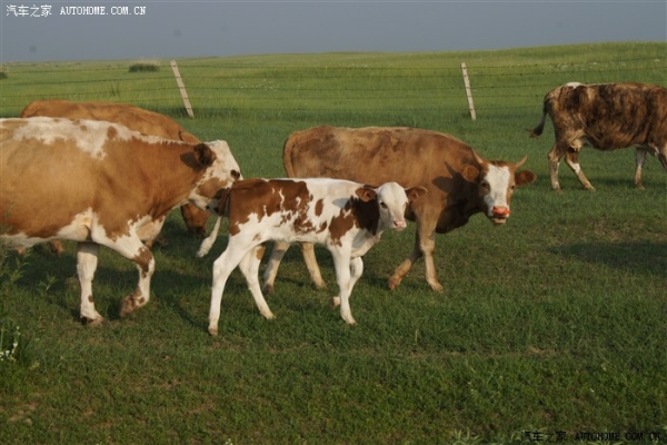 赤峰利潔日化電話多少號(hào)-第1張圖片