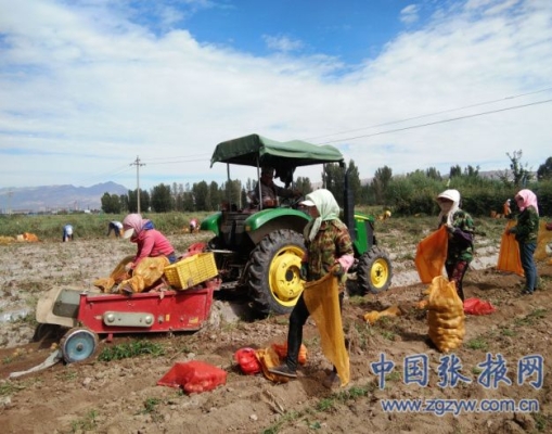 赤峰市土豆流轉(zhuǎn)中心電話號(hào)碼-第1張圖片