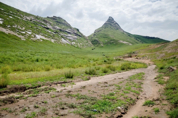 赤峰北洼子村委主任電話(huà)號(hào)碼-第1張圖片