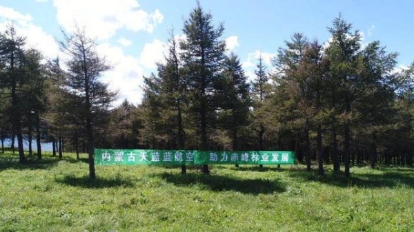 赤峰國際航空公司電話號(hào)碼-第1張圖片