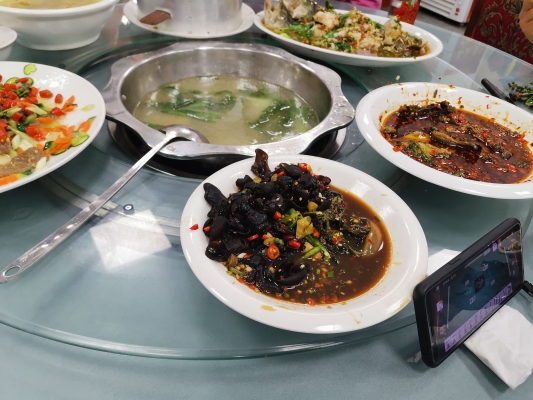 赤峰賣烏雞地方電話號(hào)碼是多少-第1張圖片