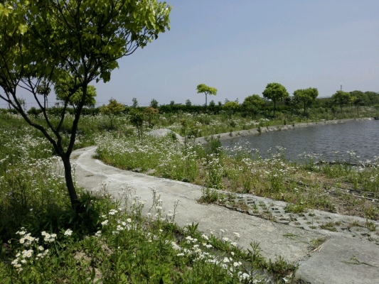 赤峰綠景園垂釣園電話號(hào)碼-第1張圖片