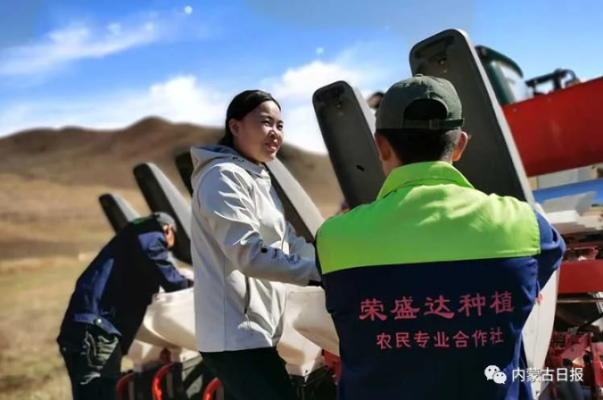 赤峰收購黍子電話地址是多少號-第1張圖片